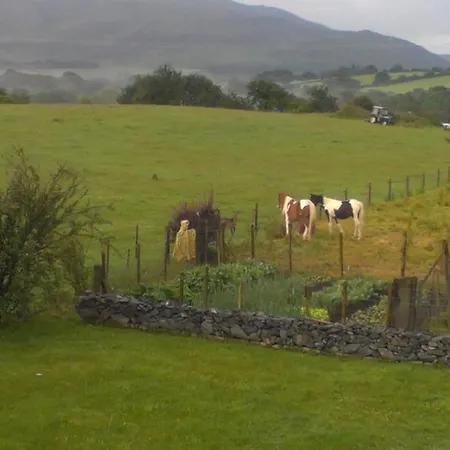 Bed & Breakfast Dunn Court House 3*
